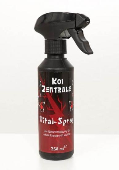 Vital Spray | Koizentrale